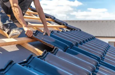 Couverture - Vicq-Exemplet